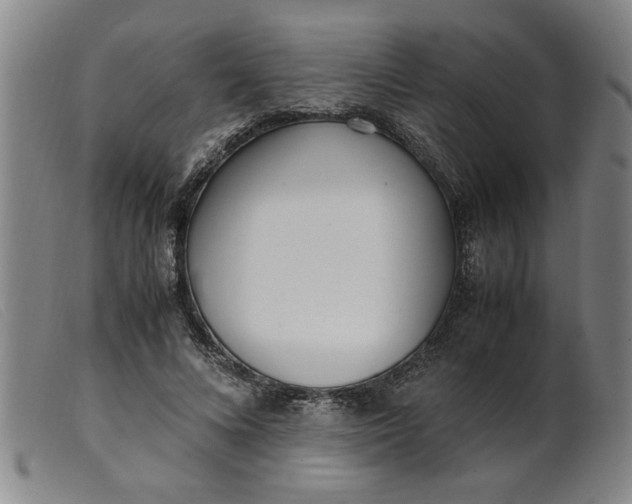 X0000099400688200805221856