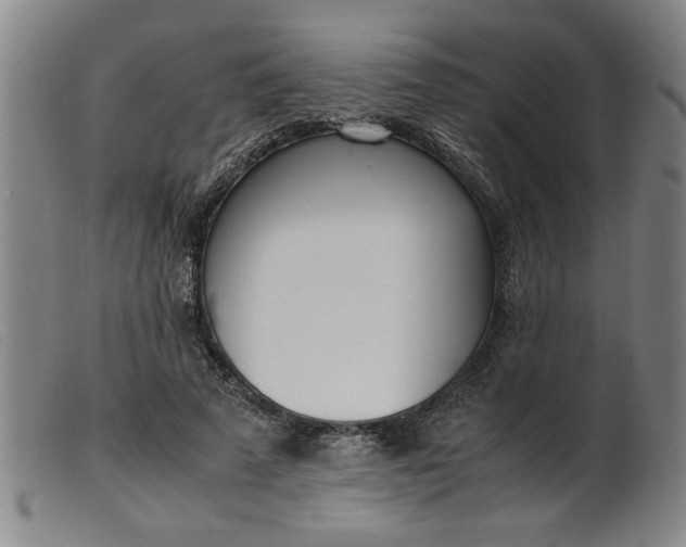 X0000099400689200805221856