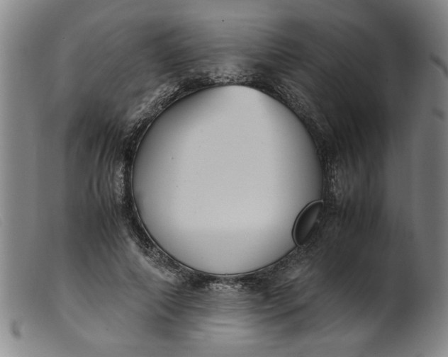 X0000099400690200805221856