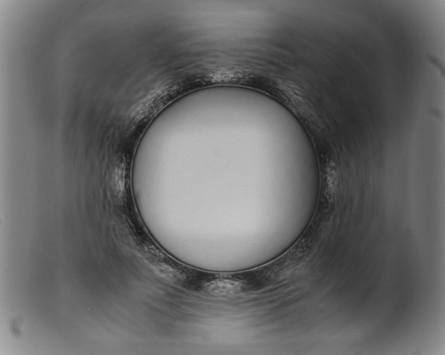 X0000099400691200805221856