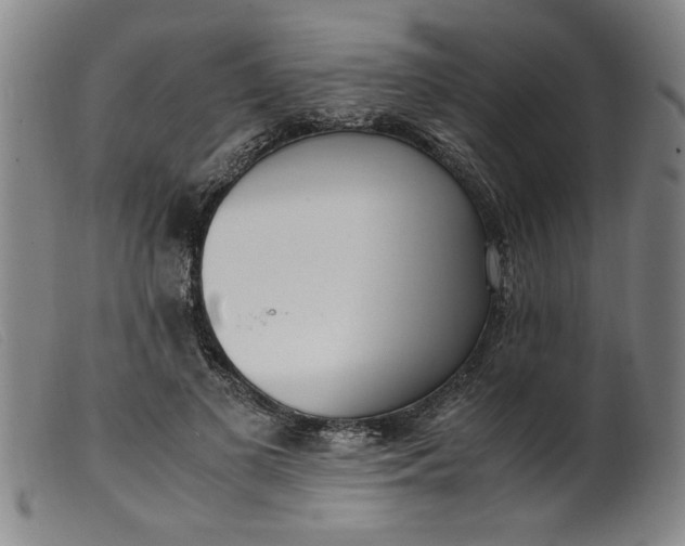 X0000099400693200805221856