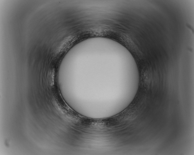 X0000099400694200805221856