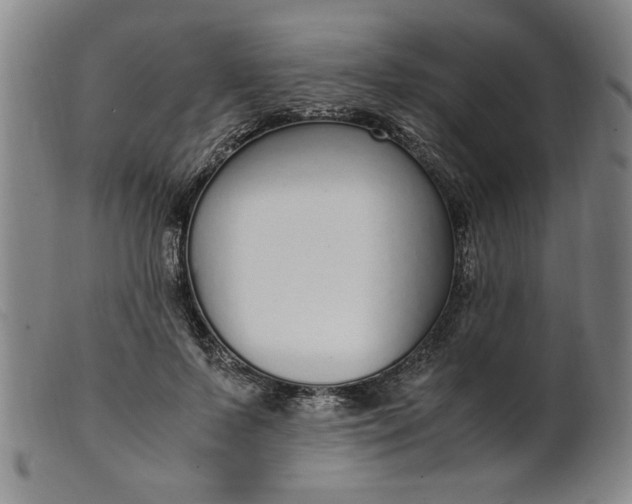 X0000099400695200805221856