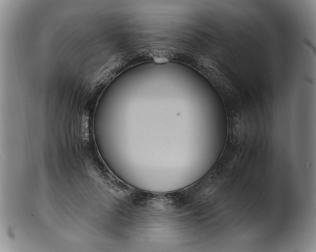 X0000099400696200805221856