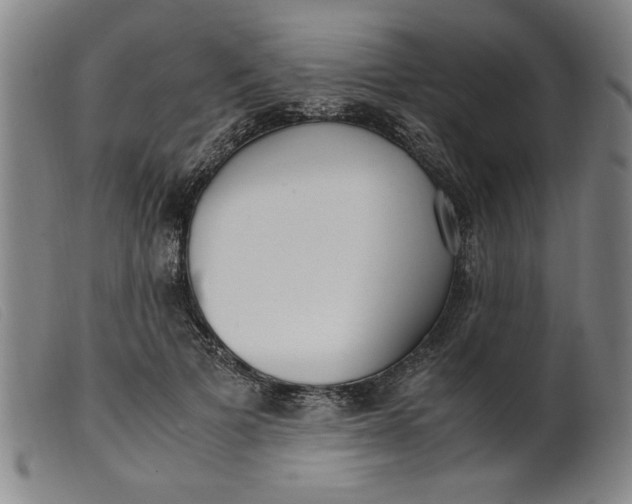 X0000099400697200805221856