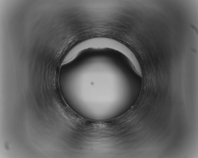 X0000099400698200805221856