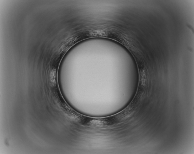 X0000099400699200805221856