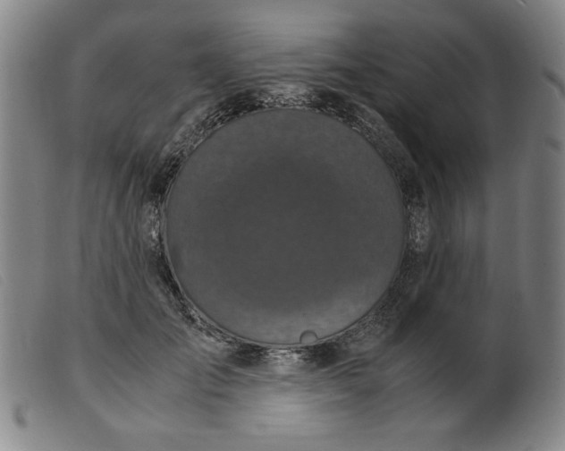 X0000099400701200805221856