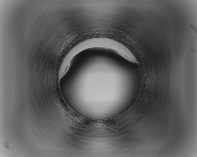 X0000099400702200805221856