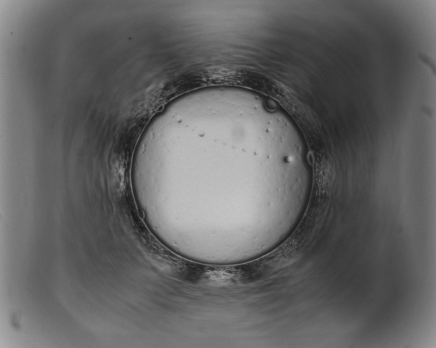 X0000099400703200805221856