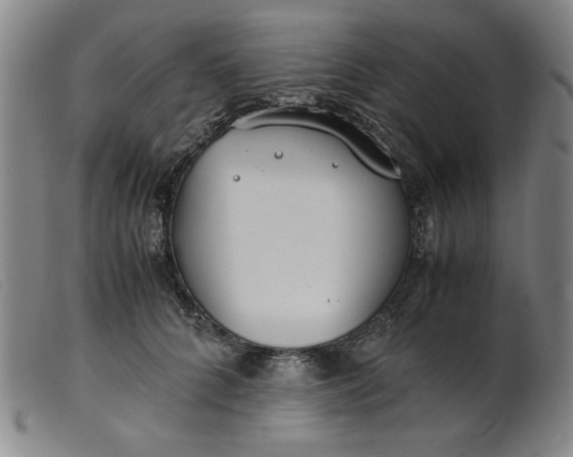 X0000099400704200805221856