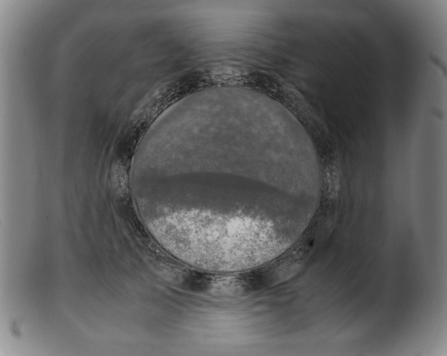 X0000099400705200805221856