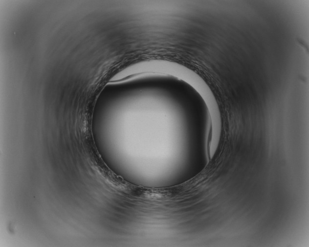 X0000099400706200805221856