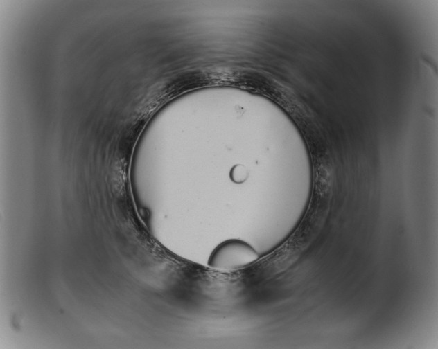 X0000099400707200805221856