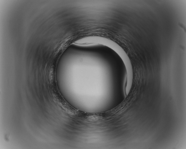 X0000099400708200805221856