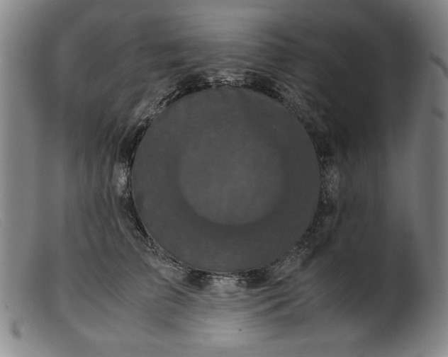 X0000099400709200805221856