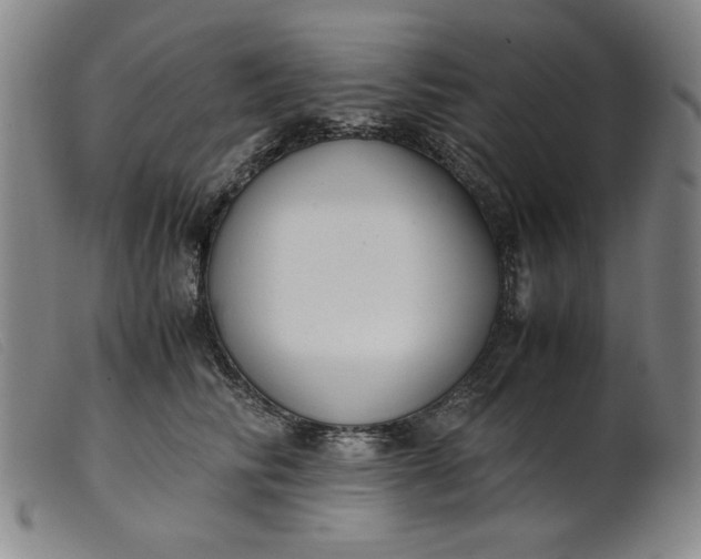 X0000099400710200805221856