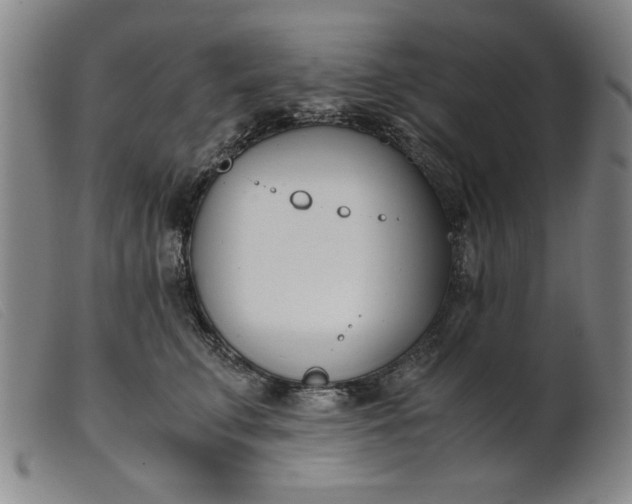 X0000099400711200805221856