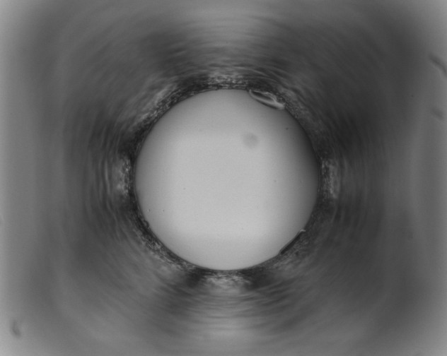 X0000099400712200805221856