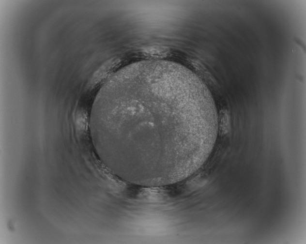 X0000099400713200805221856