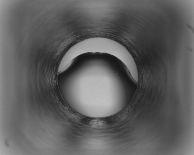 X0000099400714200805221856