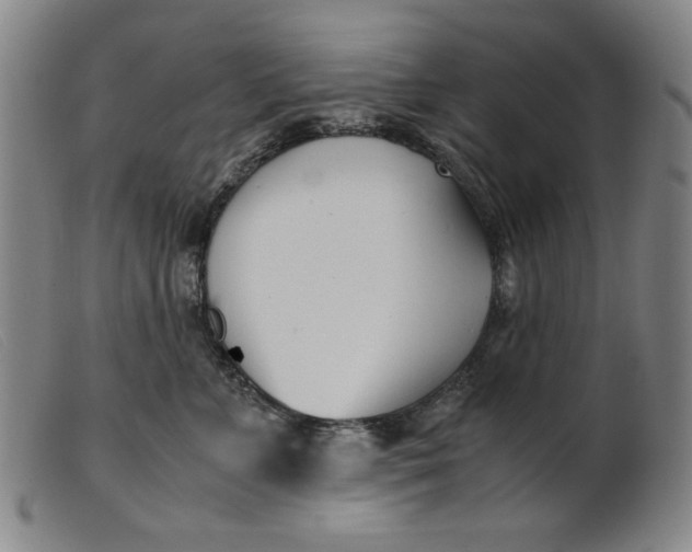 X0000099400715200805221856