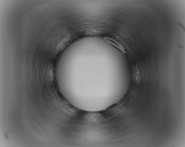 X0000099400716200805221856