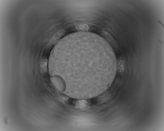 X0000099400717200805221856