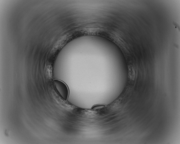 X0000099400718200805221856