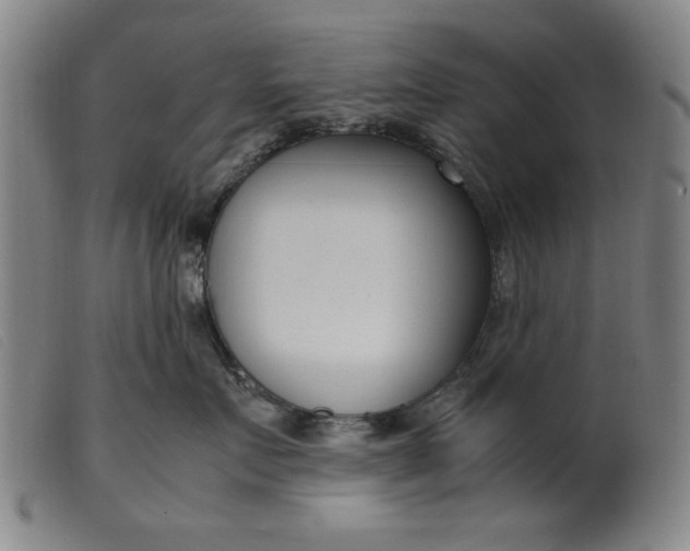 X0000099400719200805221856