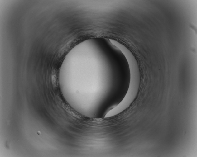 X0000099400720200805221856