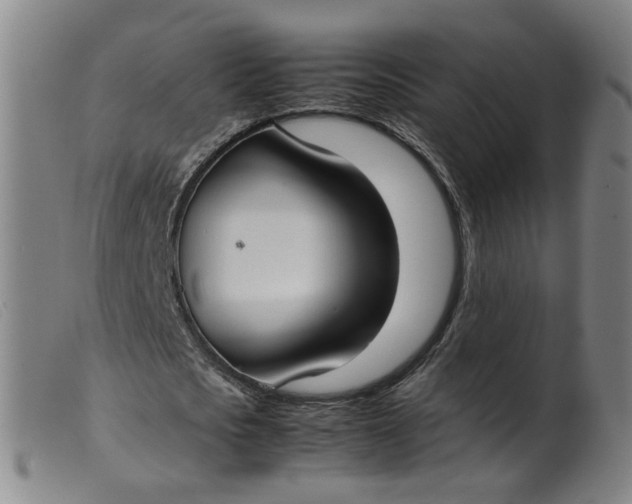 X0000099400721200805221855