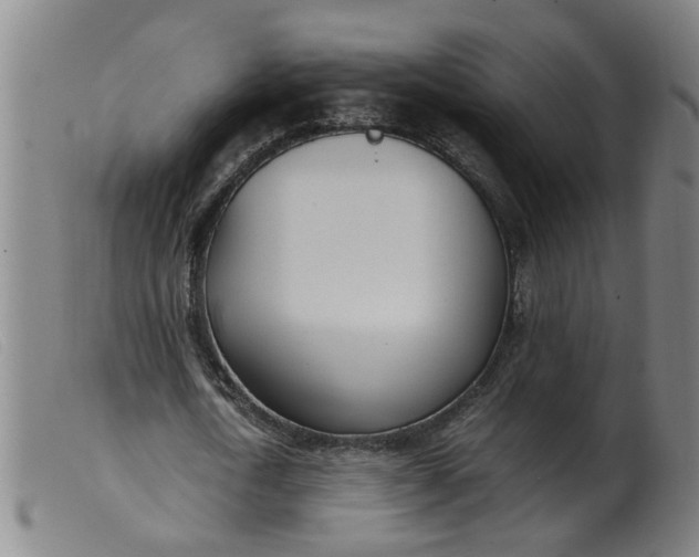 X0000099400722200805221855