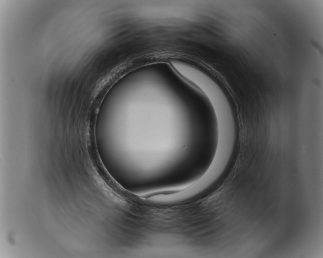 X0000099400725200805221855