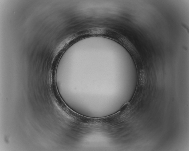 X0000099400726200805221855