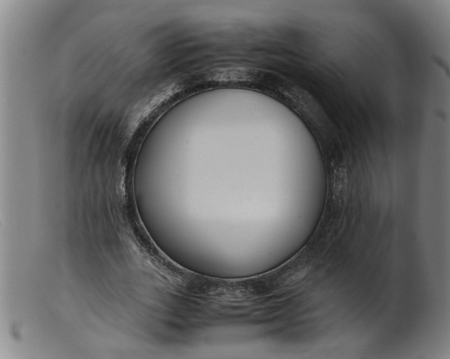 X0000099400727200805221855