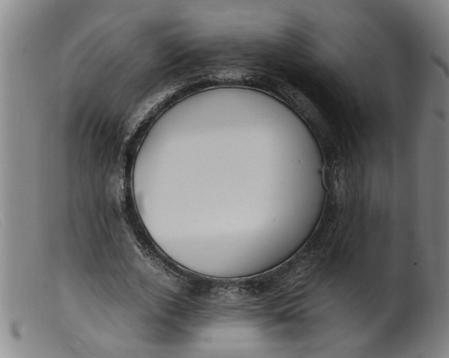 X0000099400728200805221855