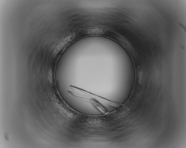 X0000099400729200805221855