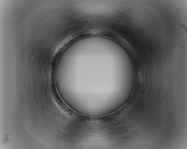 X0000099400730200805221855