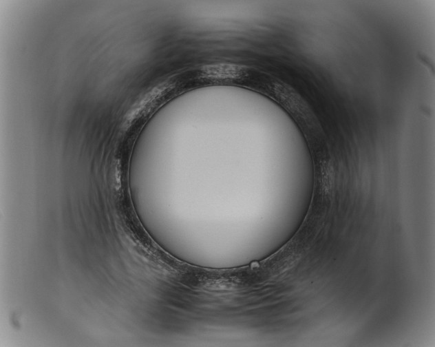 X0000099400731200805221855