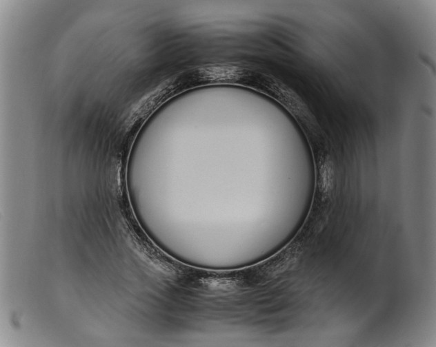 X0000099400733200805221855