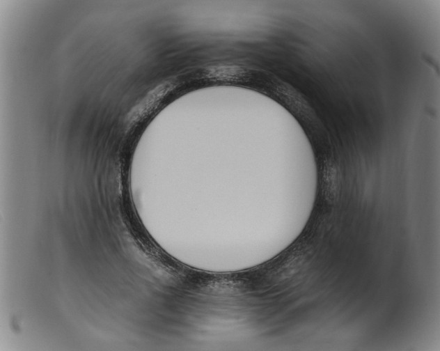 X0000099400734200805221855