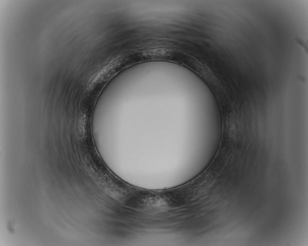 X0000099400735200805221855