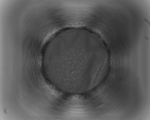 X0000099400736200805221855