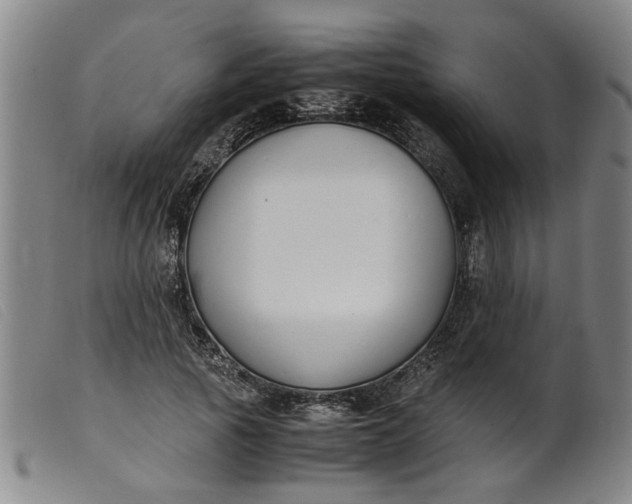 X0000099400737200805221855