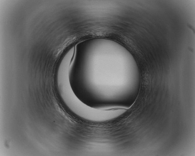 X0000099400738200805221855