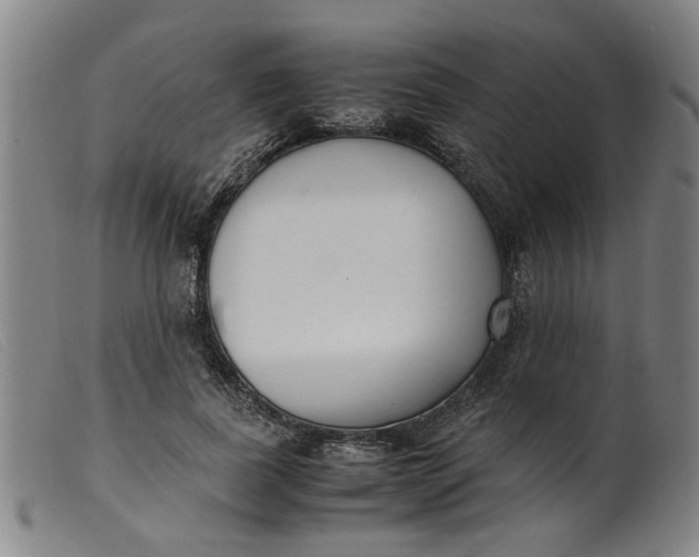 X0000099400739200805221855