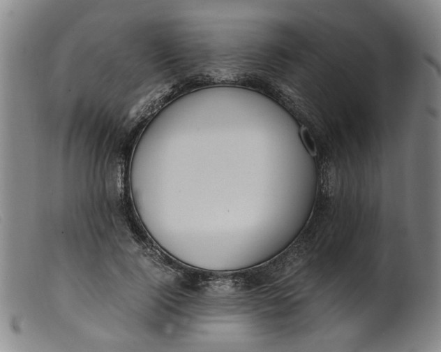 X0000099400740200805221855