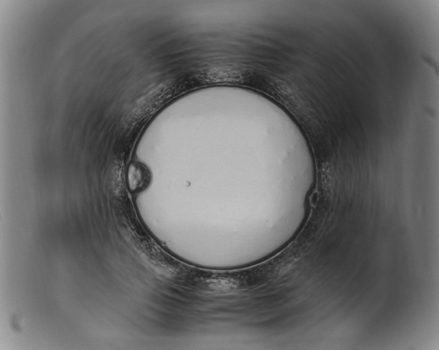 X0000099400741200805221855