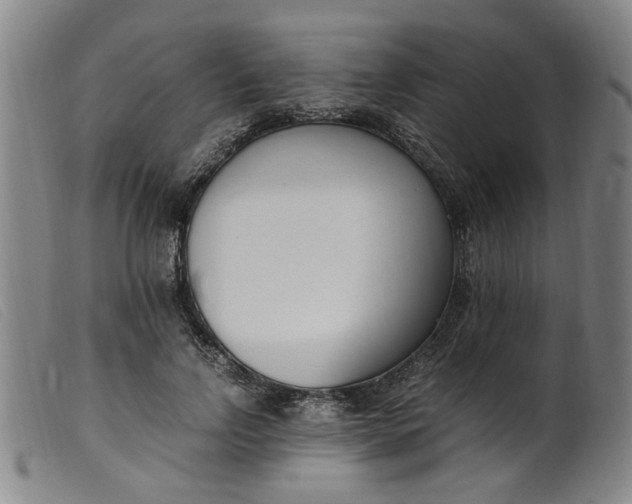 X0000099400742200805221855